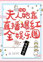 陆爷,夫人她靠直播爆红全娱乐圈