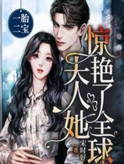 一胎二宝:夫人她惊艳了全球