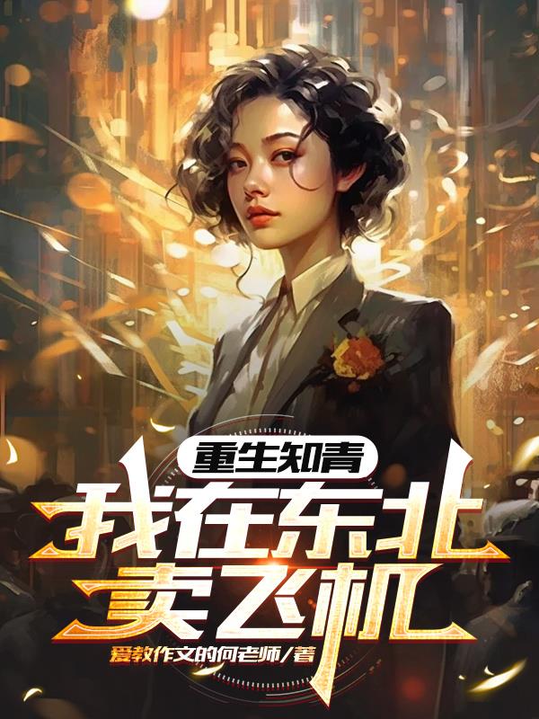 重生知青,我在东北卖飞机