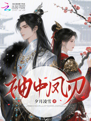 袖中凤刃