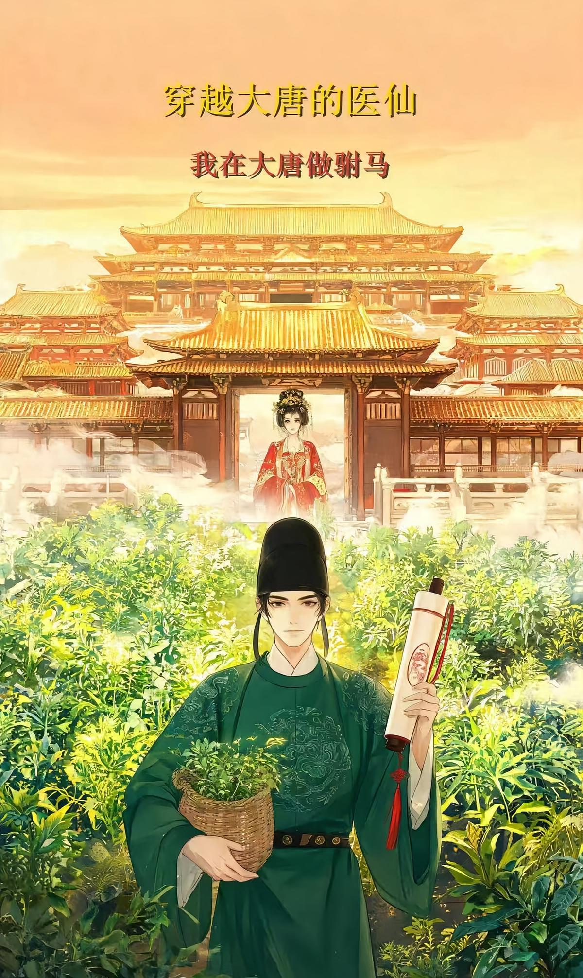 穿越大唐的医仙，我在贞观做驸马