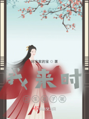 我来时,正生孩子呢