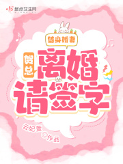替身娇妻:贺总,离婚请签字