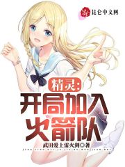 精灵:开局加入火箭队