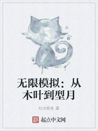 无限模拟:从木叶到型月